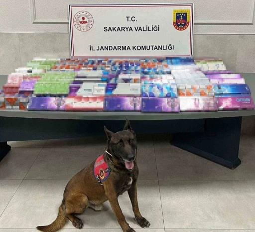 Sakarya&rsquo;da ka&ccedil;ak&ccedil;ılığa jandarma izin vermiyor
