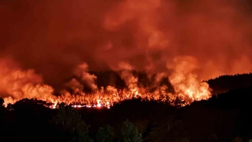 Sakarya’daki orman yangını havadan görüntülendi
