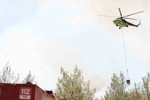 Sakarya’daki orman yangınında son durum: 2 mahallede tahliye işlemleri başladı
