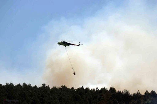 Sakarya’daki ormanlık alanda yangın: Havadan ve karadan müdahale ediliyor
