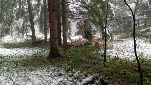 Sakarya’nın yüksek kesimleri beyaz örtüyle kaplandı
