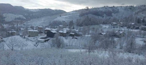 Sakarya&rsquo;nın y&uuml;ksek kesimleri beyaza b&uuml;r&uuml;nd&uuml;

