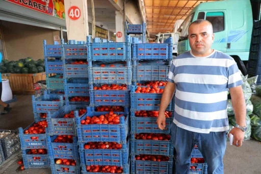 Salça dönemi başlamayınca domatesin fiyatı 3 TL’ye kadar düştü
