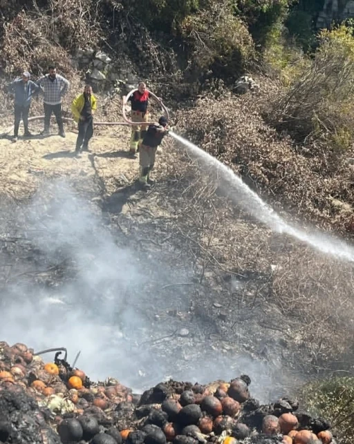 Samandağ&rsquo;da bah&ccedil;ede &ccedil;ıkan yangın b&uuml;y&uuml;meden s&ouml;nd&uuml;r&uuml;ld&uuml;

