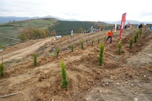 Samsun’da 11 Kasım Milli Ağaçlandırma Günü’nde 37 bin 380 fidan toprakla buluşacak
