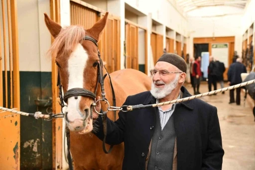 Samsun&rsquo;da 25 bin yaşlıya hizmet verildi
