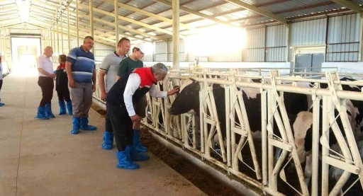 Samsun’da ari işletme sayısı 10’a yükseldi

