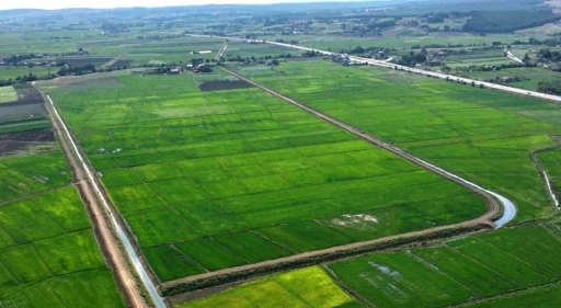 Samsun&rsquo;da bozulan tarım arazileri cezasız kalmadı: 48 işlem uygulandı
