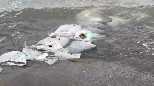 Samsun&rsquo;da denizde &ccedil;uvallar i&ccedil;inde inşaat malzemesi bulundu
