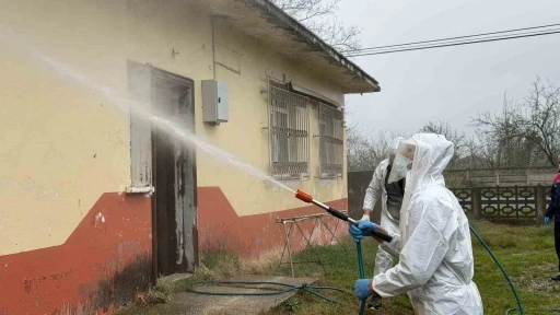 Samsun&rsquo;da kokarca zararlısına karşı m&uuml;cadele s&uuml;r&uuml;yor
