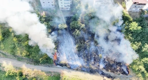 Samsun&rsquo;da korkutan anız yangını
