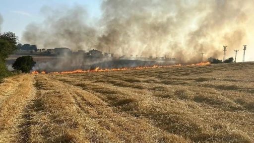 Samsun’da korkutan anız yangını
