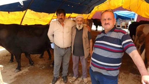 Samsun’da kurban pazarında yüzler gülüyor: Hayvanlar elde kalmadı

