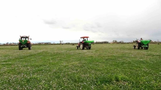 Samsun&rsquo;da meralarda ıslah &ccedil;alışmaları s&uuml;r&uuml;yor
