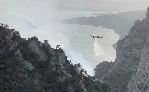 Samsun’da orman yangınlarına karşı sıkı önlem: Ormanlık alanlara girişler yasaklandı
