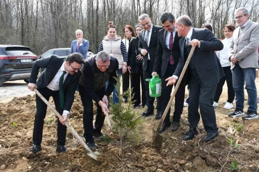 Samsun&rsquo;da ormanlar ağa&ccedil;landırılıyor
