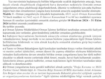 Samsun’da ormanlık alanlara girişler yasaklandı

