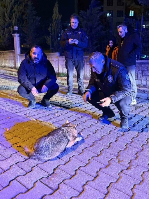 Samsun&rsquo;da şehre inen &ccedil;akala polis ekiplerinden şefkat eli

