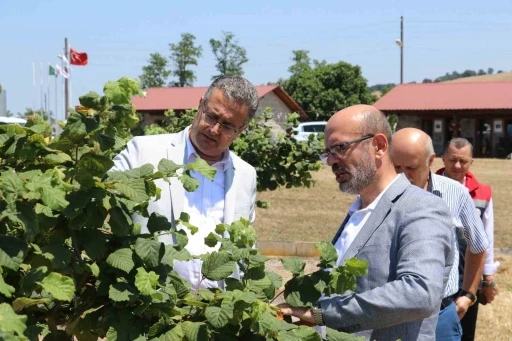 Samsun&rsquo;da tarımsal &uuml;retim &ccedil;alışmaları yerinde incelendi
