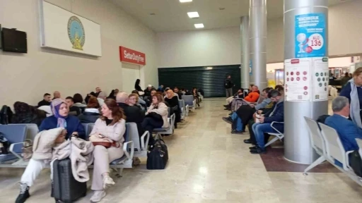 Samsun&rsquo;da yolcu u&ccedil;ağı martı s&uuml;r&uuml;s&uuml;ne &ccedil;arptı
