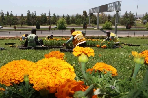 Şanlıurfa &ccedil;i&ccedil;eklerle donatıldı
