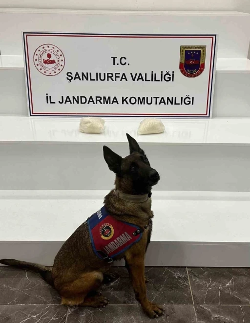 Şanlıurfa&rsquo;da 2 kilo uyuşturucu ele ge&ccedil;irildi: 2 g&ouml;zaltı
