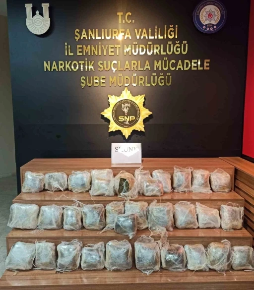Şanlıurfa’da 24 kilogram skunk ele geçirildi: 2 gözaltı
