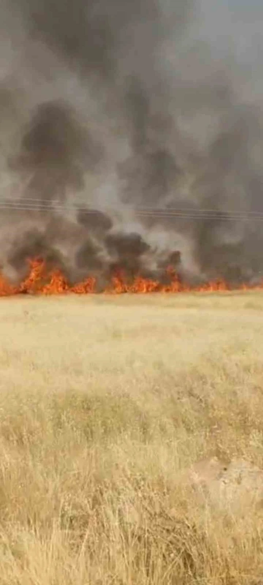 Şanlıurfa&rsquo;da 45 d&ouml;n&uuml;m buğday ekili alan yandı
