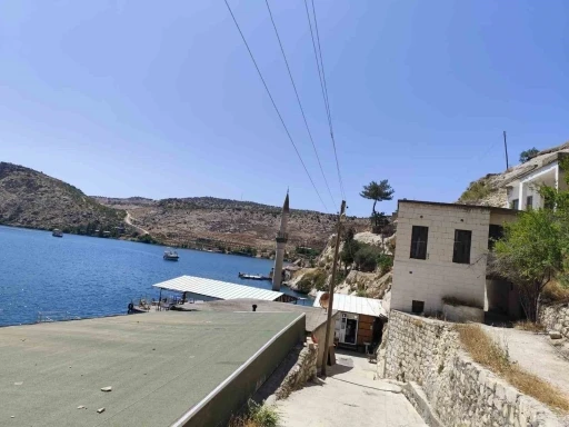 Şanlıurfa’da Afrika’yı aratmayan görüntü: Çizgili sırtlan kendisini görüntüleyenlere saldırdı
