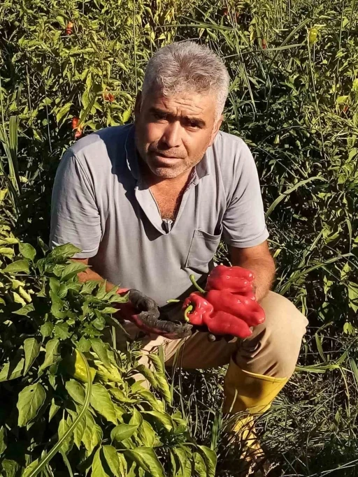 Şanlıurfa&rsquo;da asans&ouml;r faciası: Boşluğa d&uuml;şen servis şof&ouml;r&uuml; hayatını kaybetti
