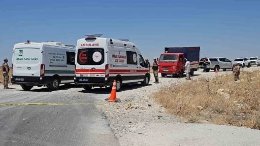 Şanlıurfa&rsquo;da bir şahıs kamyonette silahla vurulmuş halde bulundu
