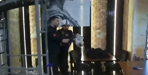 Şanlıurfa&rsquo;da havalandırma boşluğunda mahsur kalan kedi kurtarıldı
