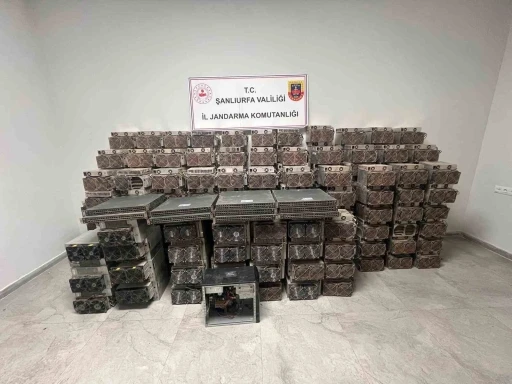 Kripto para madenciliği operasyonu: 2 gözaltı