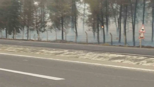 Şanlıurfa’da orman yangını: Alevlerin petrol istasyonuna sıçramaması için seferber oldular
