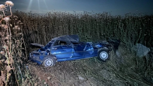 Şanlıurfa&rsquo;da otomobil şarampole devrildi: 4 yaralı
