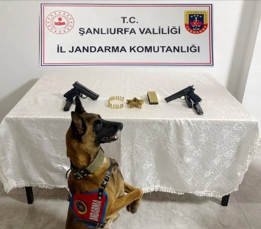 Şanlıurfa’da silah kaçakçılığı operasyonu: 8 gözaltı
