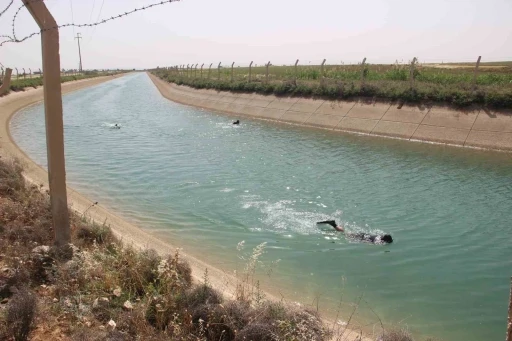 Şanlıurfa’da sulama kanalına düşen çocuk aranıyor
