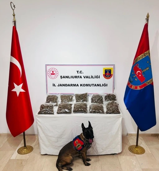 Şanlıurfa’da uyuşturucu operasyonu: 1 gözaltı
