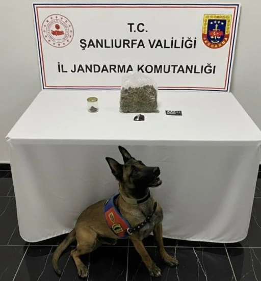 Şanlıurfa&rsquo;da uyuşturucu operasyonu: 1 g&ouml;zaltı
