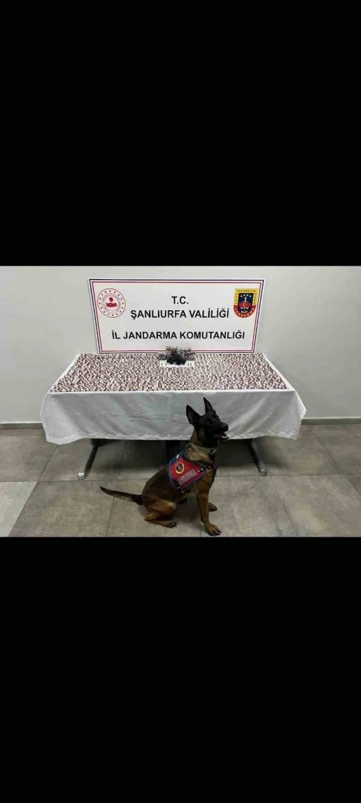 Şanlıurfa’da uyuşturucu operasyonu: 2 gözaltı
