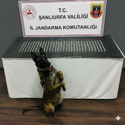 Şanlıurfa’da uyuşturucu operasyonu: 3 gözaltı