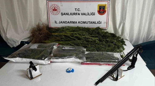 Şanlıurfa’da uyuşturucu operasyonunda 1 gözaltı