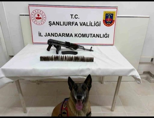 Şanlıurfa&rsquo;da uzun namlulu silah ele ge&ccedil;irildi: 1 g&ouml;zaltı
