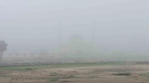 Şanlıurfa&rsquo;da yoğun sis etkili oluyor
