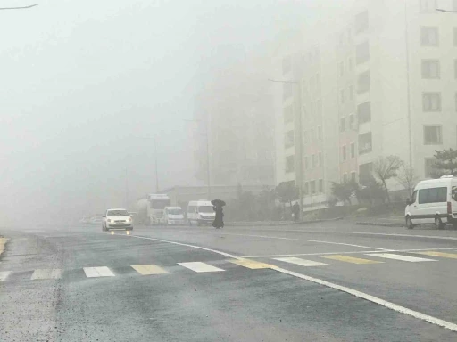 Şanlıurfa&rsquo;da yoğun sis ve yağmur etkili oluyor
