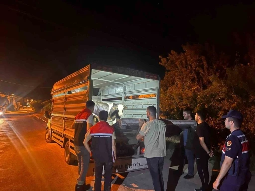 Şap hastalığı tedbirlerine uymadı 105 bin lira para cezası kesildi
