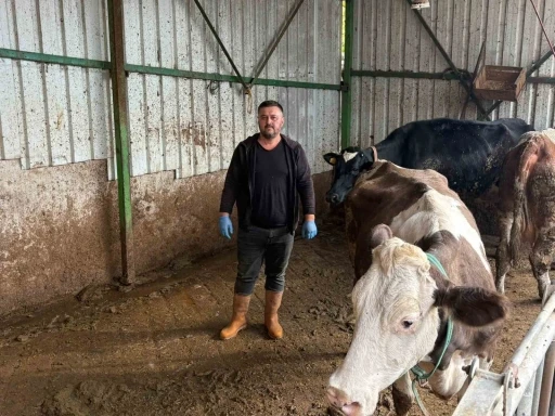 Şap hastalığına bir hayvanını daha verdi
