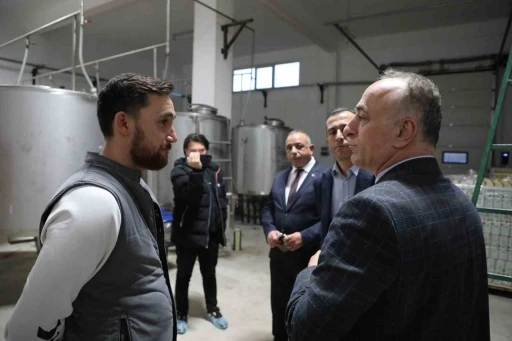 Sarıcakaya&rsquo;da zeytin ve zeytinyağı &uuml;retimi hızla artıyor
