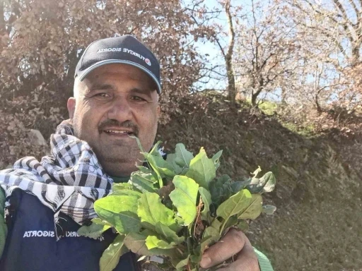Sarıg&ouml;l&rsquo;de baharın habercisi ekşi kulak tezgahlarda yerini aldı
