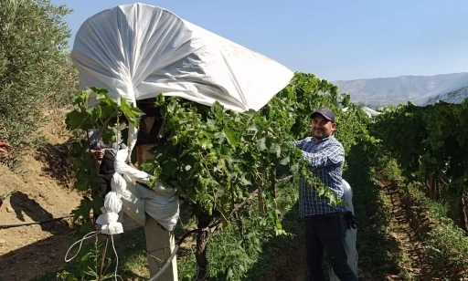 Sarıgöl’de örtü ekipleri işleri sıraya koydu
